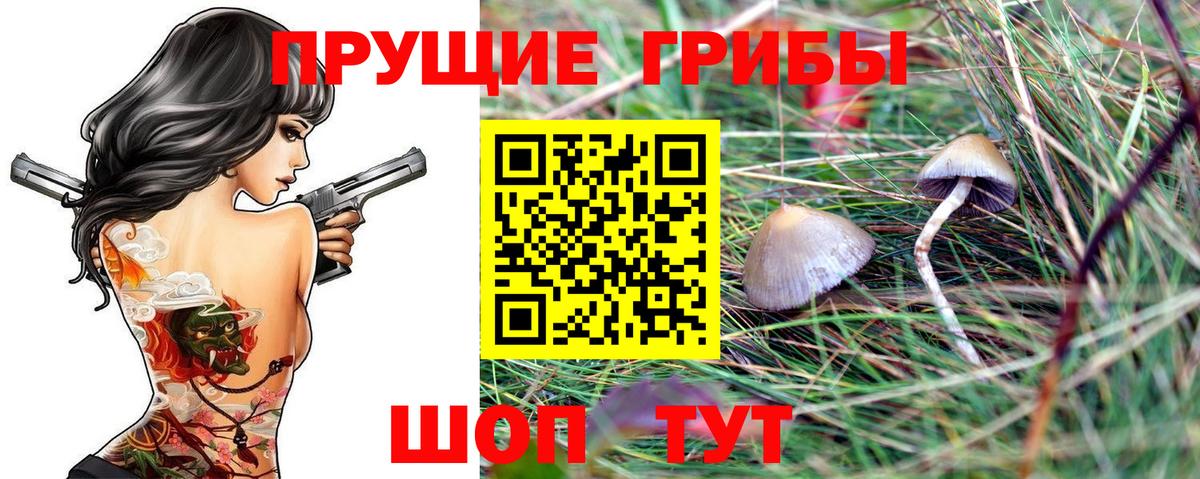 Псилоцибиновые грибы ЛСД  Псилоцибиновые грибы MAGIC MUSHROOMS  Калининград  Вход с VPN 